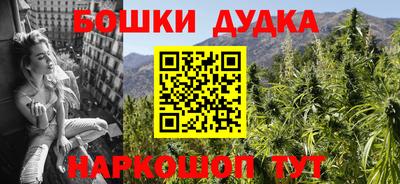 мдпв Будённовск