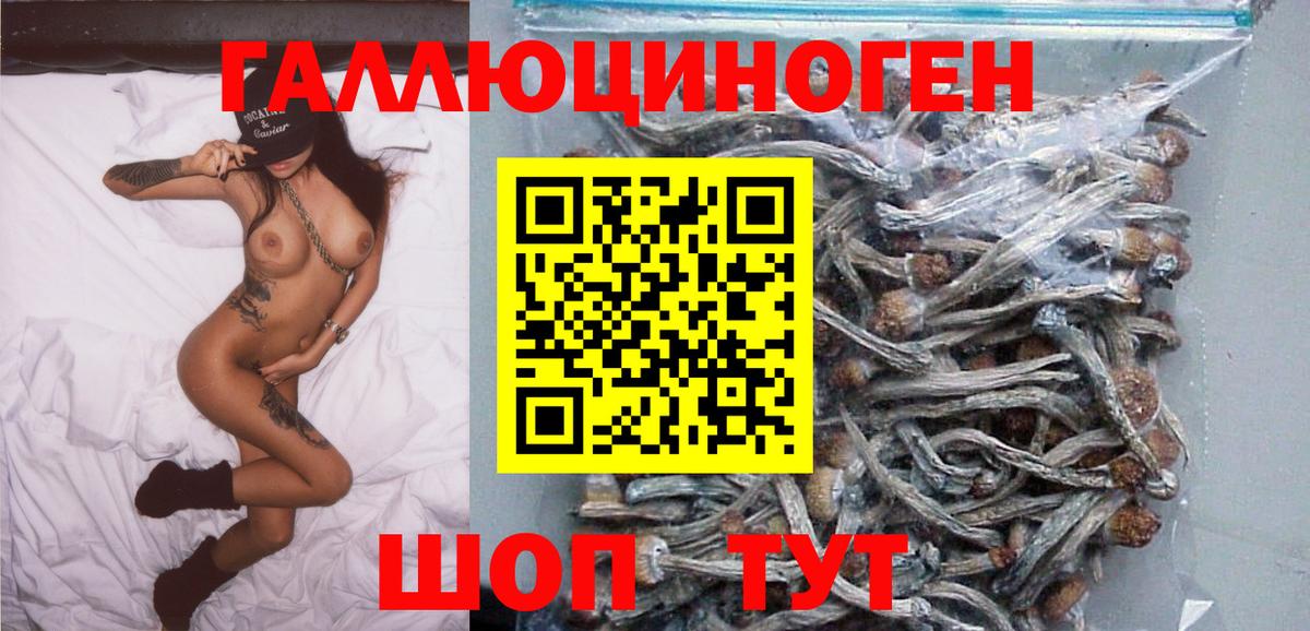 Галлюциногенные грибы Magic Shrooms  Галлюциногенные грибы MAGIC MUSHROOMS  Вход с VPN  как найти   Пугачёв 